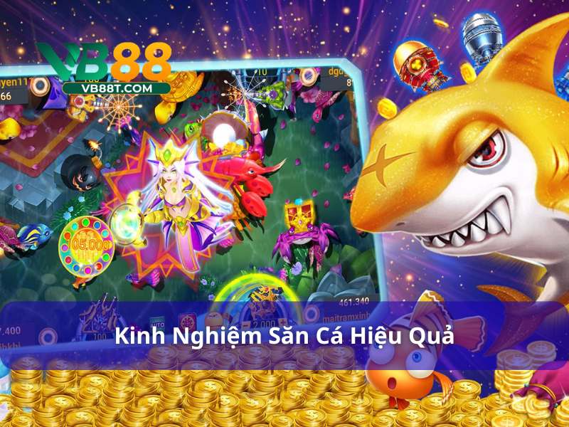 Học hỏi kỹ năng săn mồi điêu luyện từ cao thủ