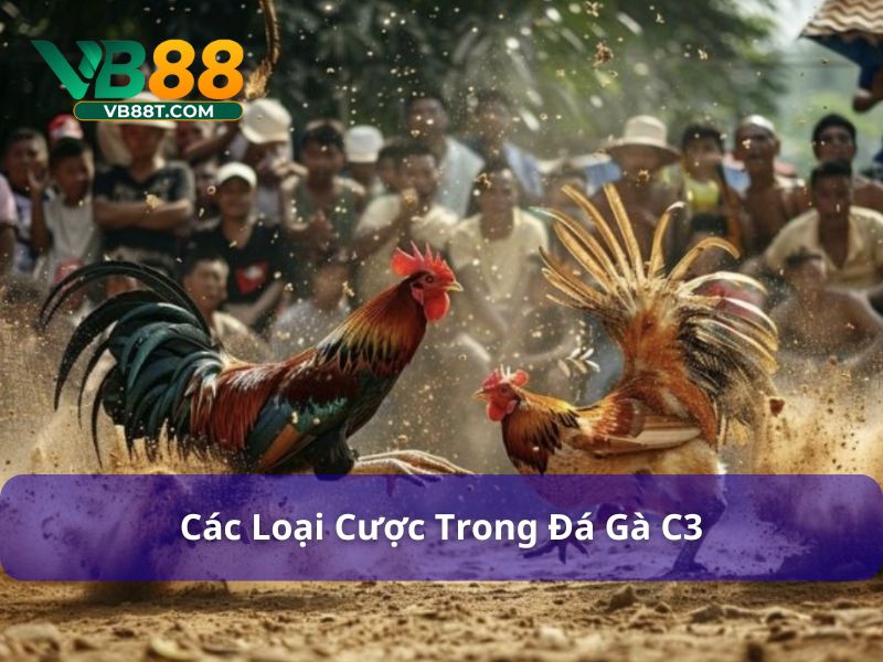 Chiến Lược Chơi Đá Gà C3: Tối Đa Hóa Cơ Hội Thắng Đá gà C3 cung cấp nhiều loại cược khác nhau