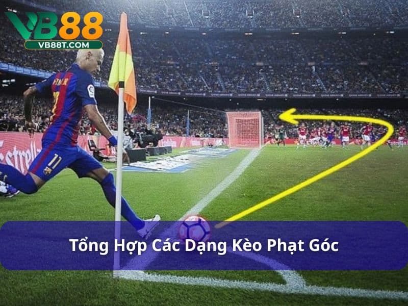 Kèo Góc Nhà Cái Có Tỷ Lệ Thế Nào? Hiểu Đúng Đặt Cược Hiệu Quả Các loại kèo góc nhà cái hiện nay