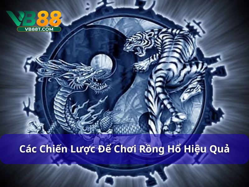 Các chiến lược chơi Rồng Hổ hiệu quả