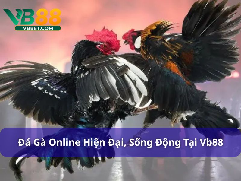 Đá gà online tại Vb88
