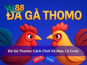 Đá gà Thomo