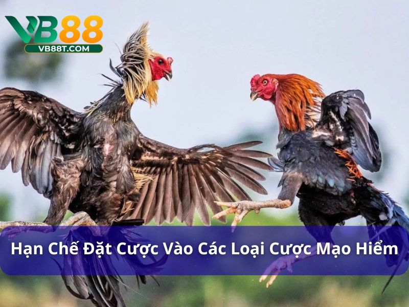 Hạn chế đặt cược vào các loại cược mạo hiểm
