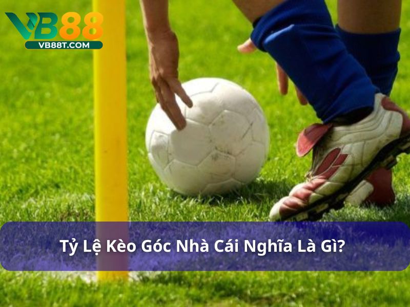 Kèo Góc Nhà Cái Có Tỷ Lệ Thế Nào? Hiểu Đúng Đặt Cược Hiệu Quả Kèo góc nhà cái có tỷ lệ biến động
