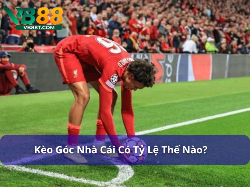 Kèo Góc Nhà Cái Có Tỷ Lệ Thế Nào? Hiểu Đúng Đặt Cược Hiệu Quả kèo góc nhà cái