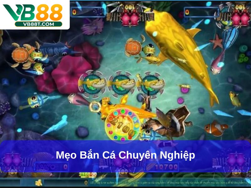 Mẹo bắn cá chuyên nghiệp