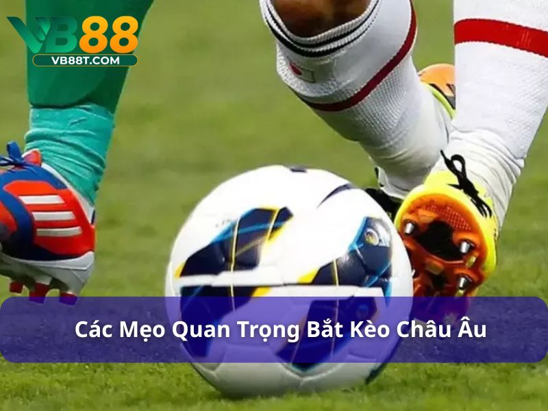 Tỷ Lệ Cá Cược Châu Âu: Hướng Dẫn Chi Tiết Cho Người Chơi Mẹo chơi kèo châu Âu cần áp dụng