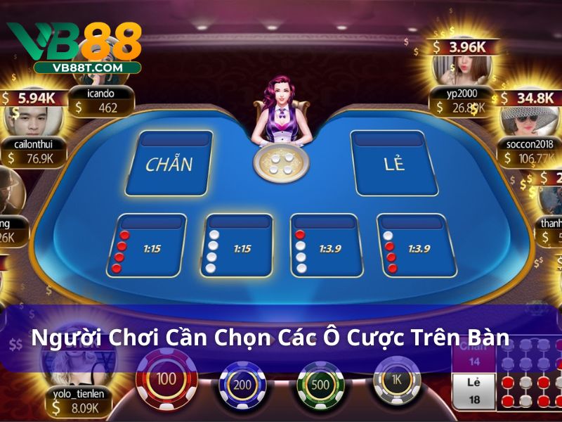 Xóc Đĩa: Những Cách Đặt Cược Và Chiến Lược Thắng Lớn Người chơi cần chọn các ô cược trên bàn