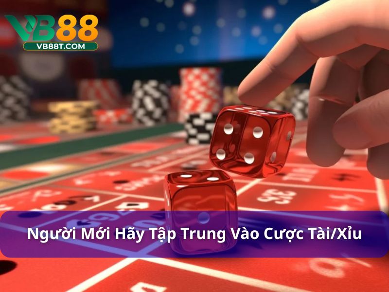 Người mới bắt đầu chơi Sicbo hãy tập trung vào cược Tài/Xỉu