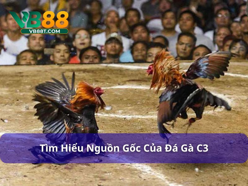 Chiến Lược Chơi Đá Gà C3: Tối Đa Hóa Cơ Hội Thắng Tìm hiểu nguồn gốc của đá gà C3