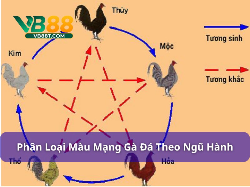 Bí Kíp Chọn Màu Mạng Gà Đá Ngày Hôm Nay Bất Bại Nên Thử Mỗi giống gà sẽ tương ứng với một hành riêng