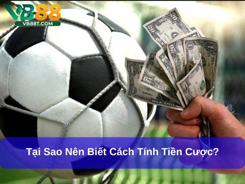 Tại sao nên biết cách tính tiền cược?
