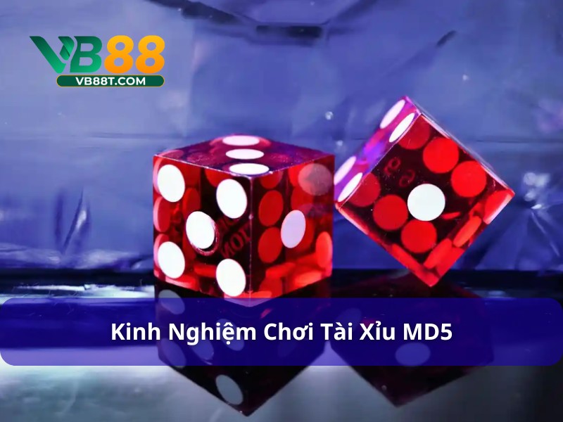 Tài Xỉu MD5 - Trò Chơi Xúc Xắc An Toàn Và Rất Hấp Dẫn Cược gấp thếp tăng cơ hội thắng với tài xỉu MD5